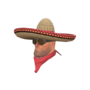 Wide-Brimmed Bandito